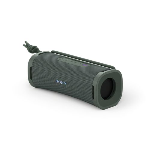 quelle enceinte sony choisir